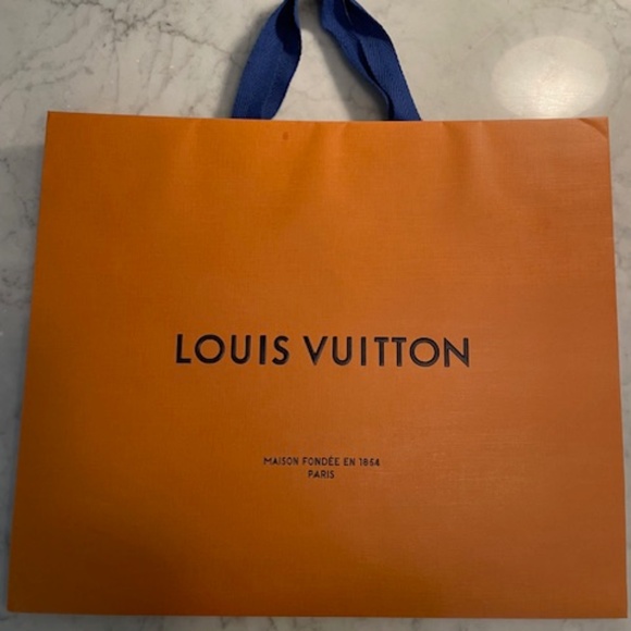 Louis Vuitton Large Paper Bag - Picture 1 of 4